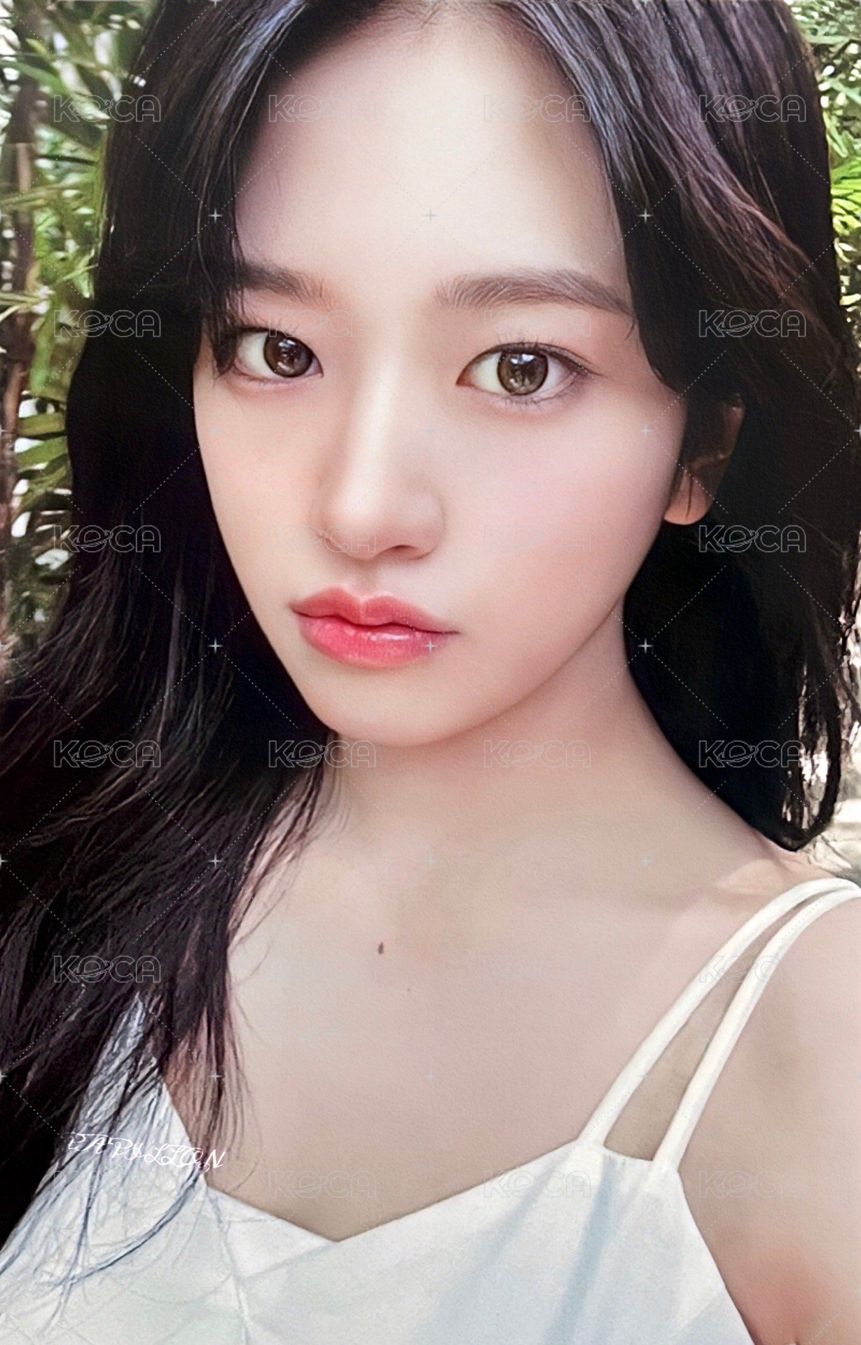 夏日寫真 周邊卡 固配卡 正面