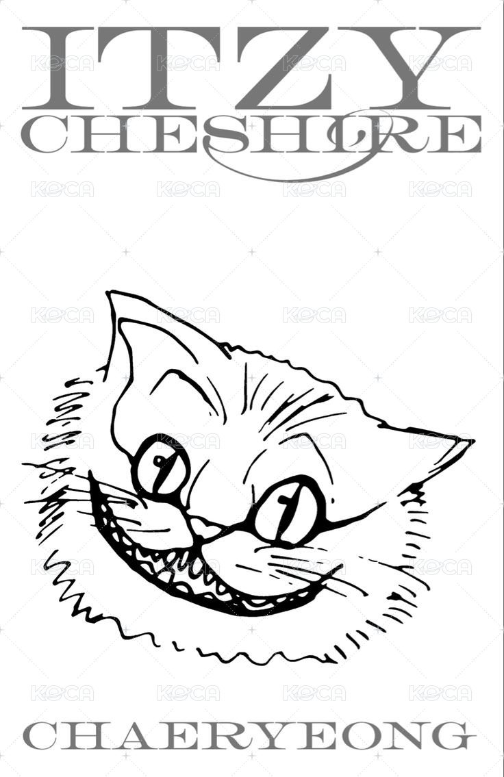 CHESHIRE 專輯卡 普版 背面