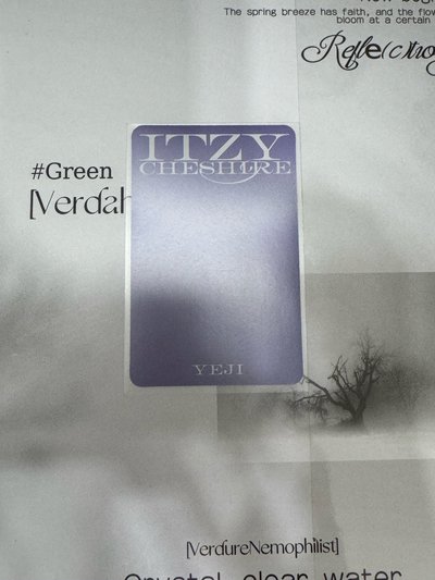 CHESHIRE 専輯卡限量版-禮志