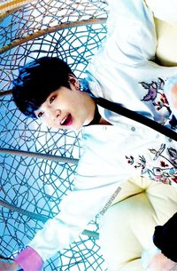 Wings Tour 隨機卡 ver.2 (5/8)