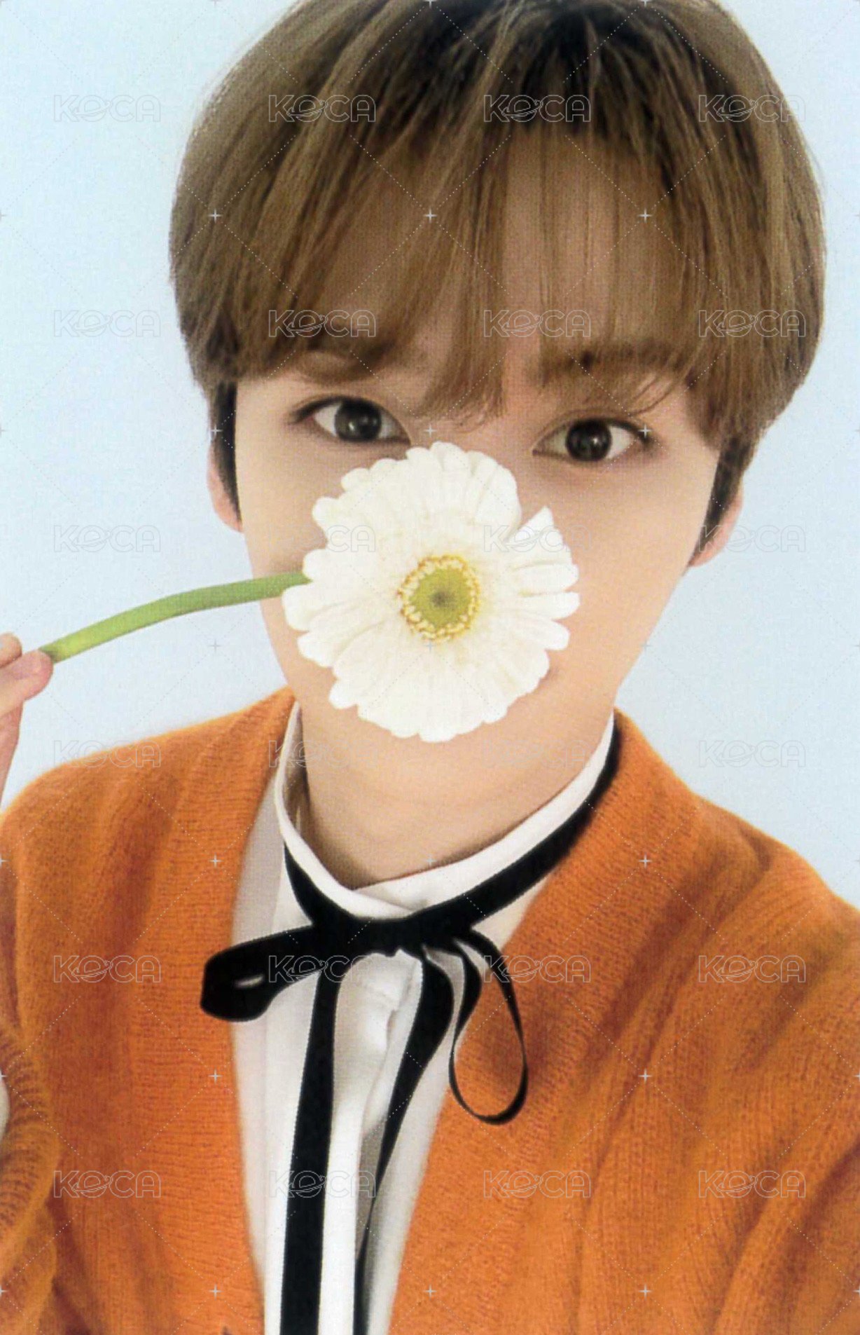 NACIFIC 代言卡 10.0 背面