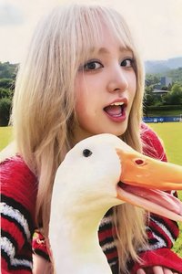 I'VE MINE sw 2.0 幸運卡 大鵝栗