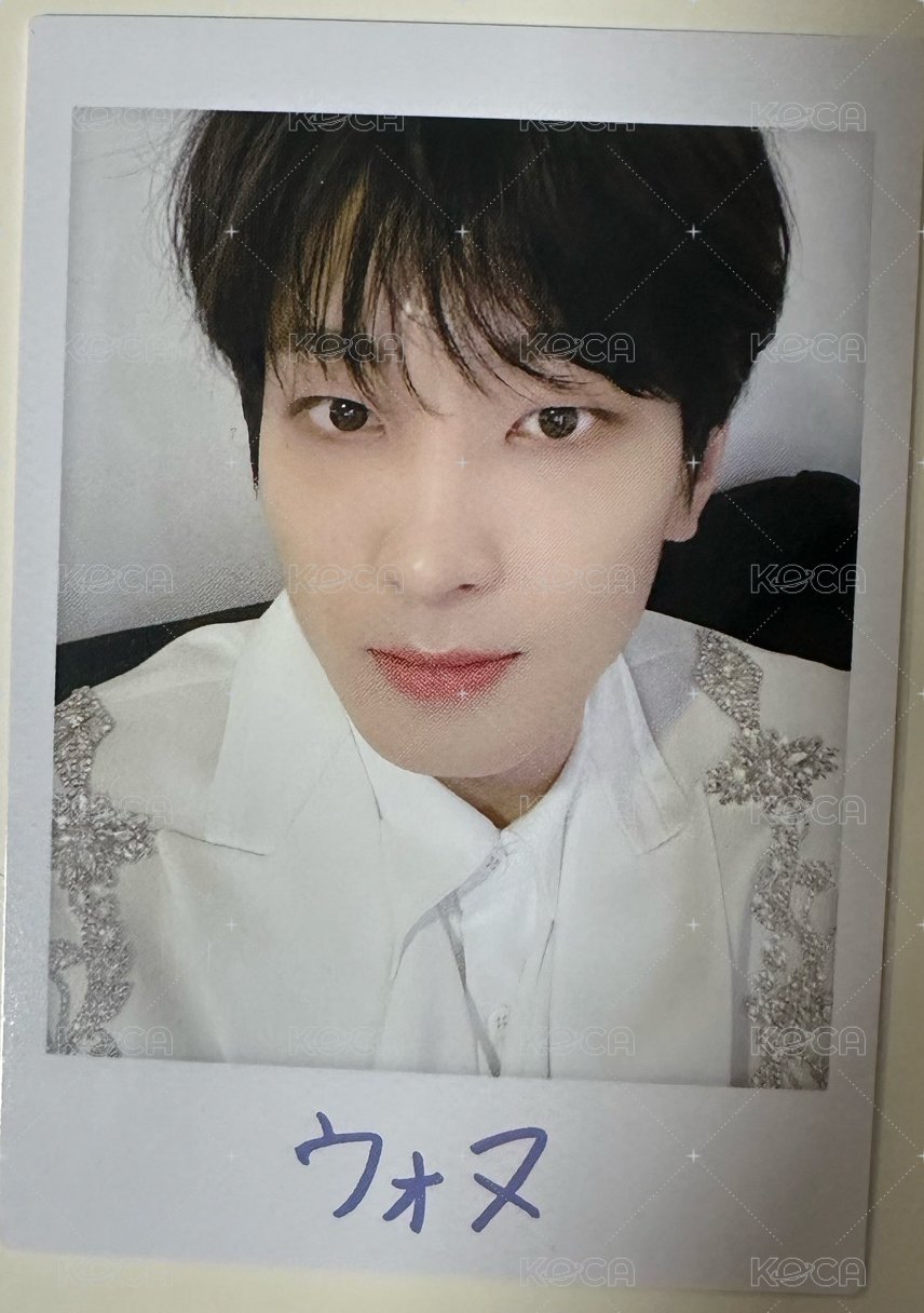 20蛋巡 隨機卡 拍立得小卡 正面