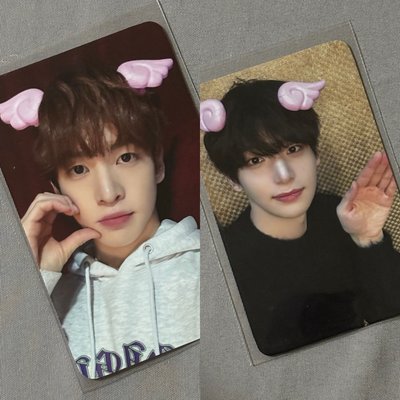 CEAVITY FTO wm 4.0 翅膀髮夾