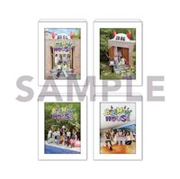 BAEMON HOUSE yg 相框 