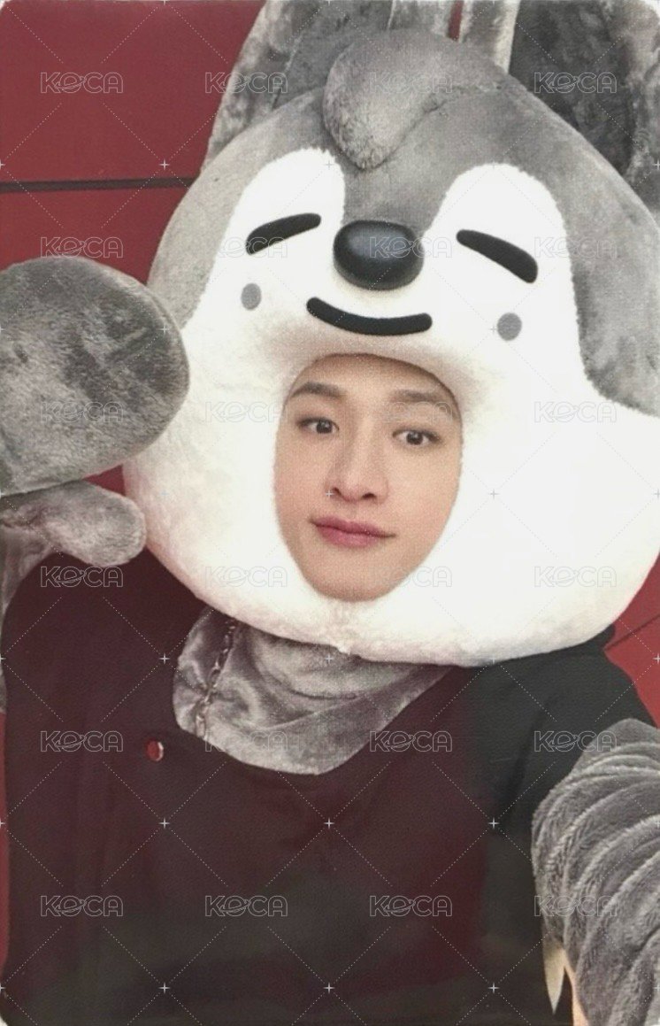 MAXIDENT jyp 特典卡  正面