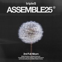 <ASSEMBLE25> 專輯 