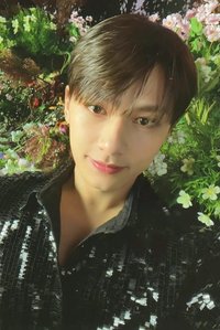 正四 專輯卡 正規四｜CARAT ver.