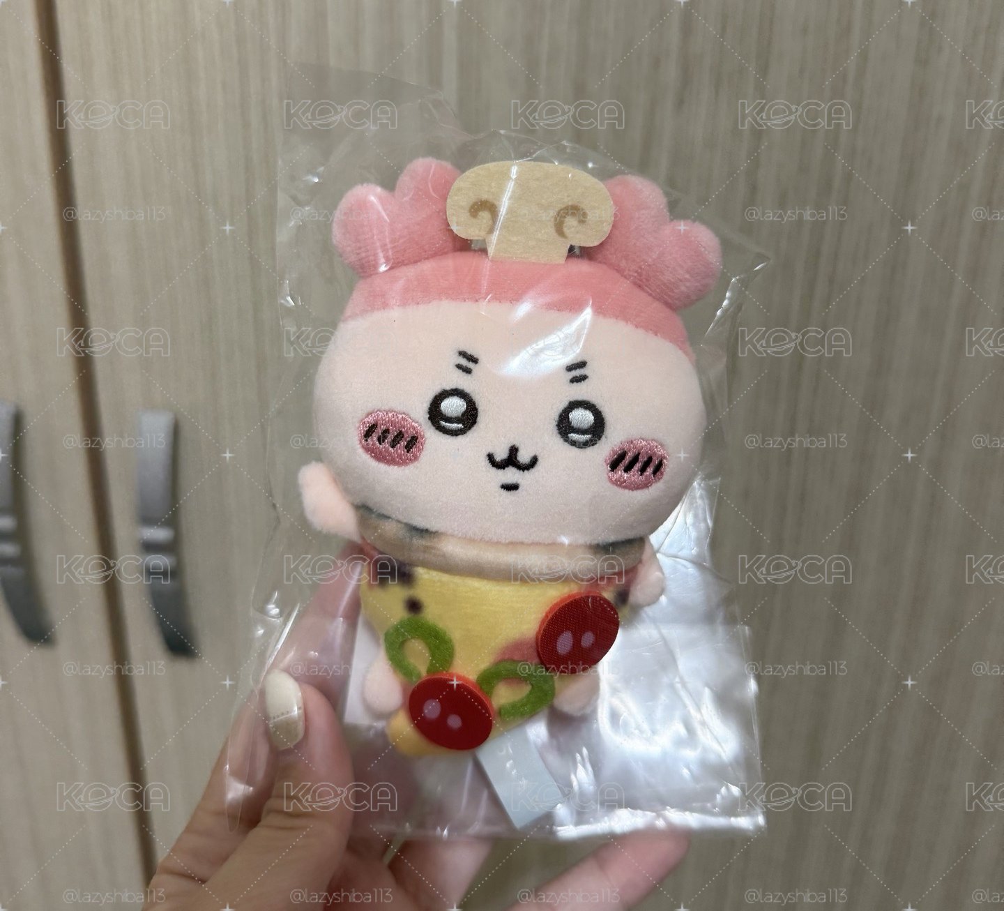 古本披薩