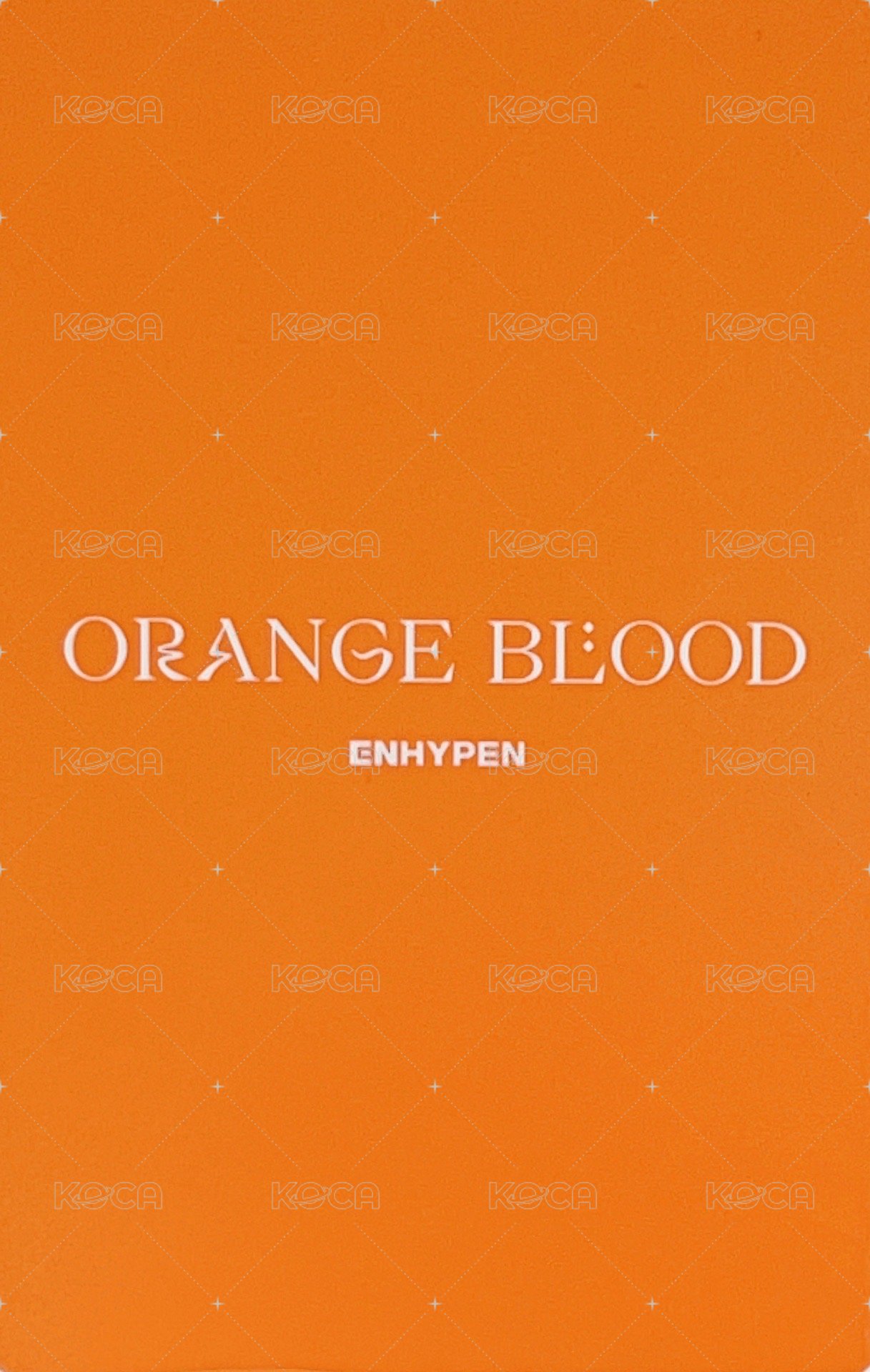 迷五 專輯卡 固配卡 ENGENE ver. 背面