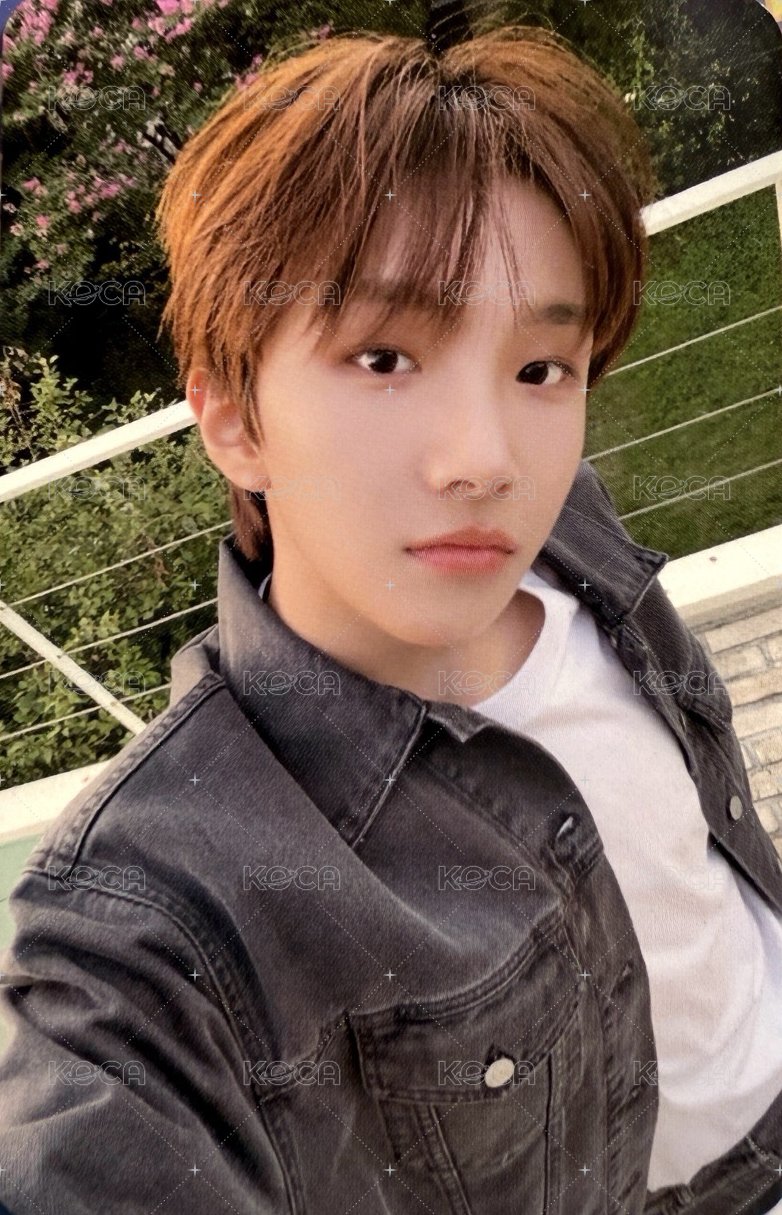 24年曆 wvs 年曆卡 固配卡 正面