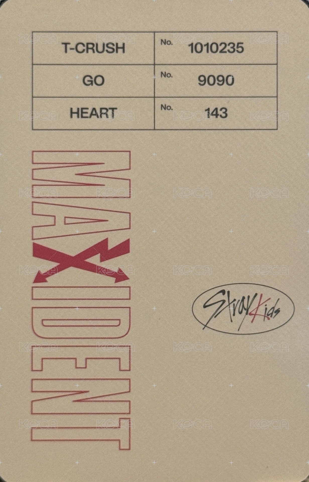 MAXIDENT 專輯卡 Case ver. 背面