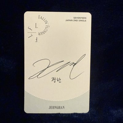 Falling Flower 落花漢