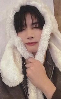 雪明 環球 特典卡 動物卡