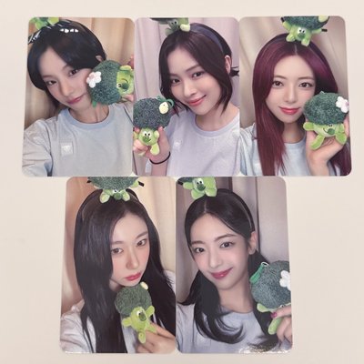 GWBG 花椰菜🥦手繪卡背