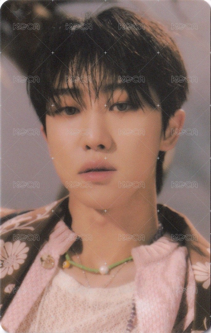 正四 專輯卡 正規四｜WVS電子專ver. 正面