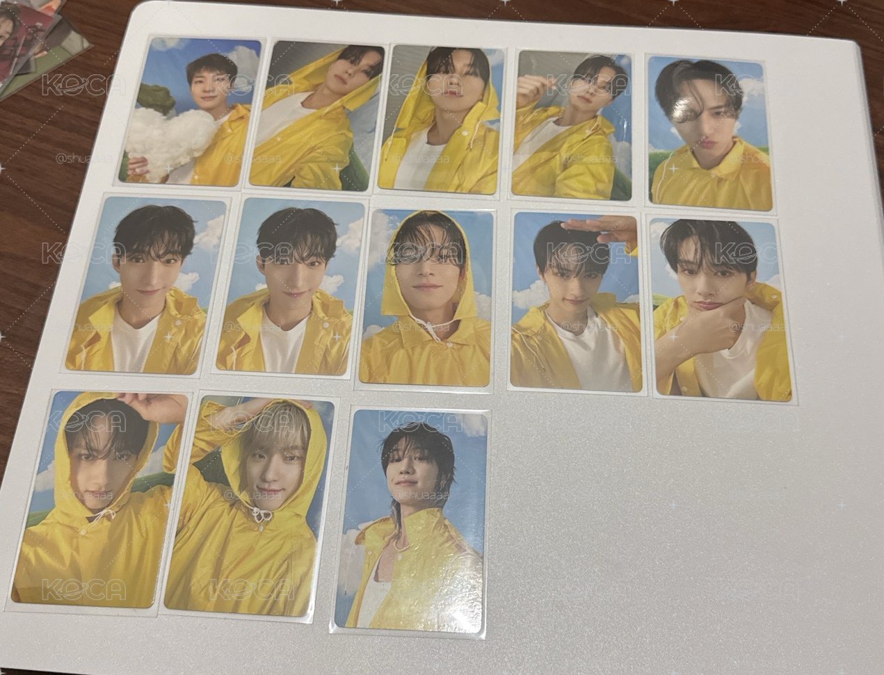 MINI11 專輯卡 ｜CARAT ver.