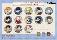 SOL 徽章 舊秋冬閃