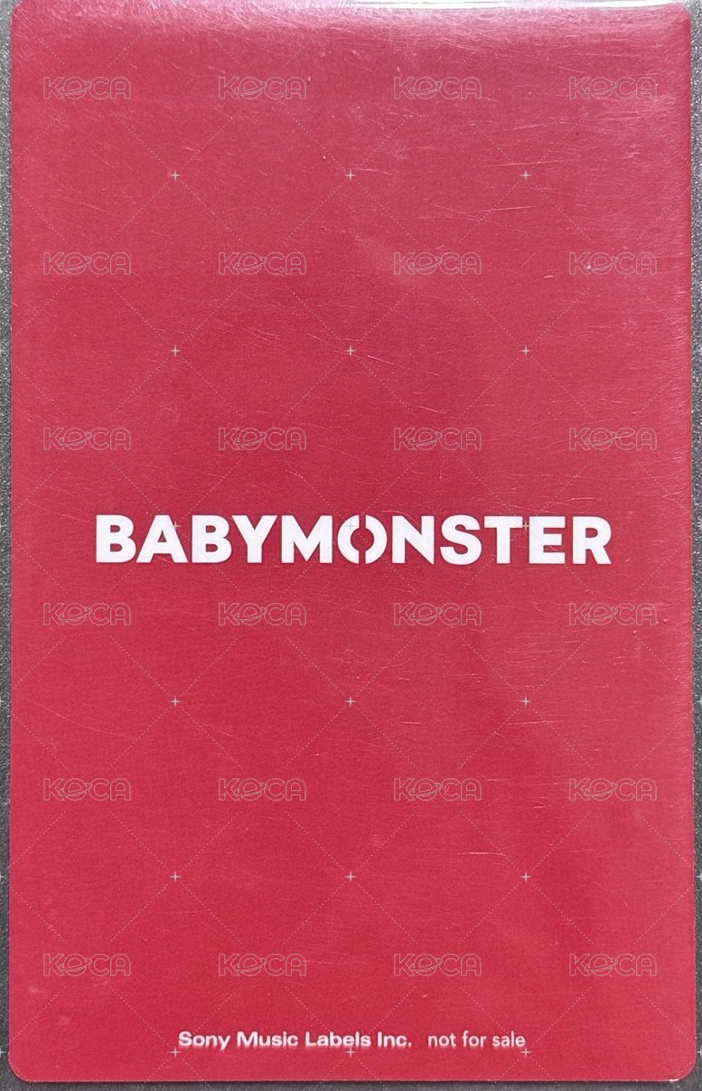 25世巡 索尼 日本展位 特典卡 a.ver 背面