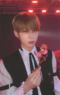 迷四 專輯卡 New版