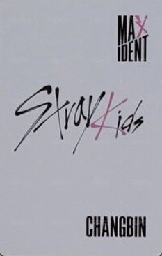 MAXIDENT Lotte Duty Free 樂天 特典卡  背面