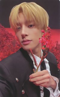 迷四 專輯卡 New版