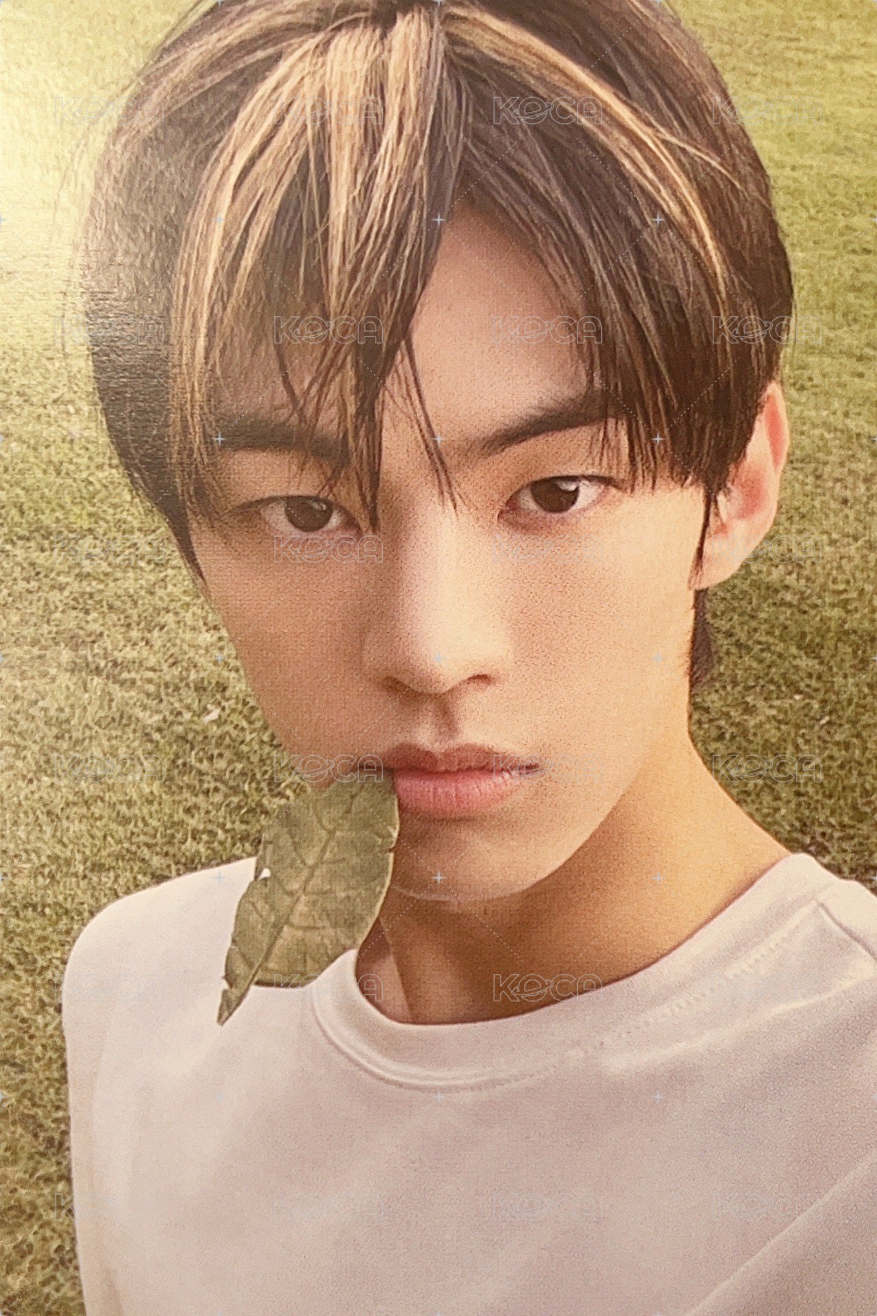 SUMMER BEAT! 專輯卡 NOW ver. 正面