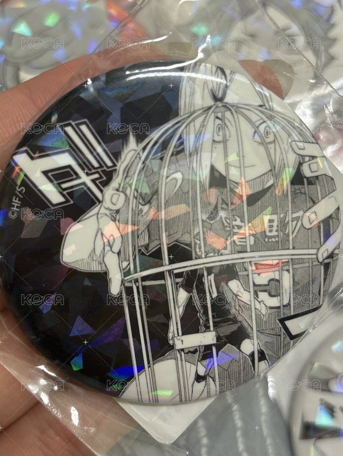 日向研磨100