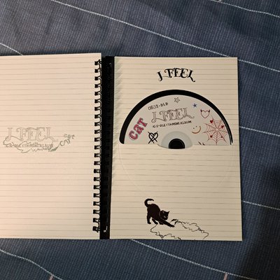 (G)I-DLE I FEEL 貓版空專