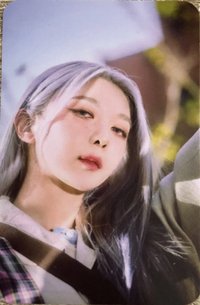 迷你八輯 專輯卡 (電子專固配卡)