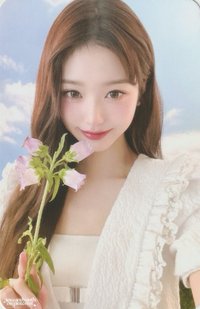 Hapa Kristin 代言卡 代言卡 員瑛Hapa kristin