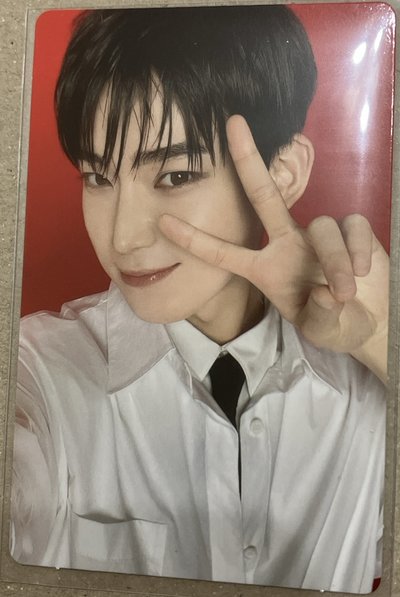 wtl 隨機卡包 禹