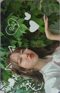 2025 FM Chapter Y 隨機卡 