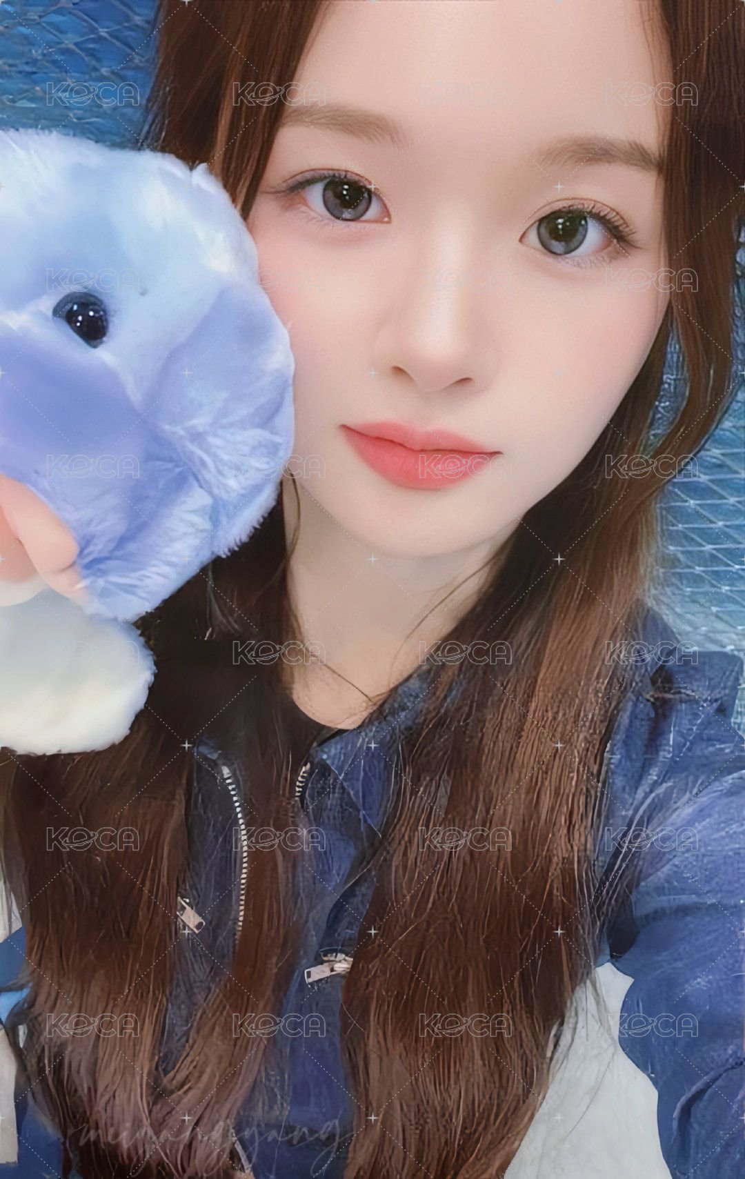 expérgo ms 幸運卡 海豚 正面