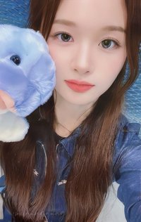 expérgo ms 幸運卡 海豚