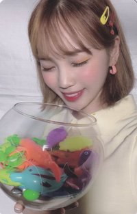 Oneiric Diary 專輯卡 日記：DIARY版