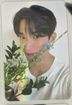 拿花碩