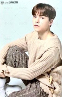 the SAEM 代言卡 雙面卡B 背面