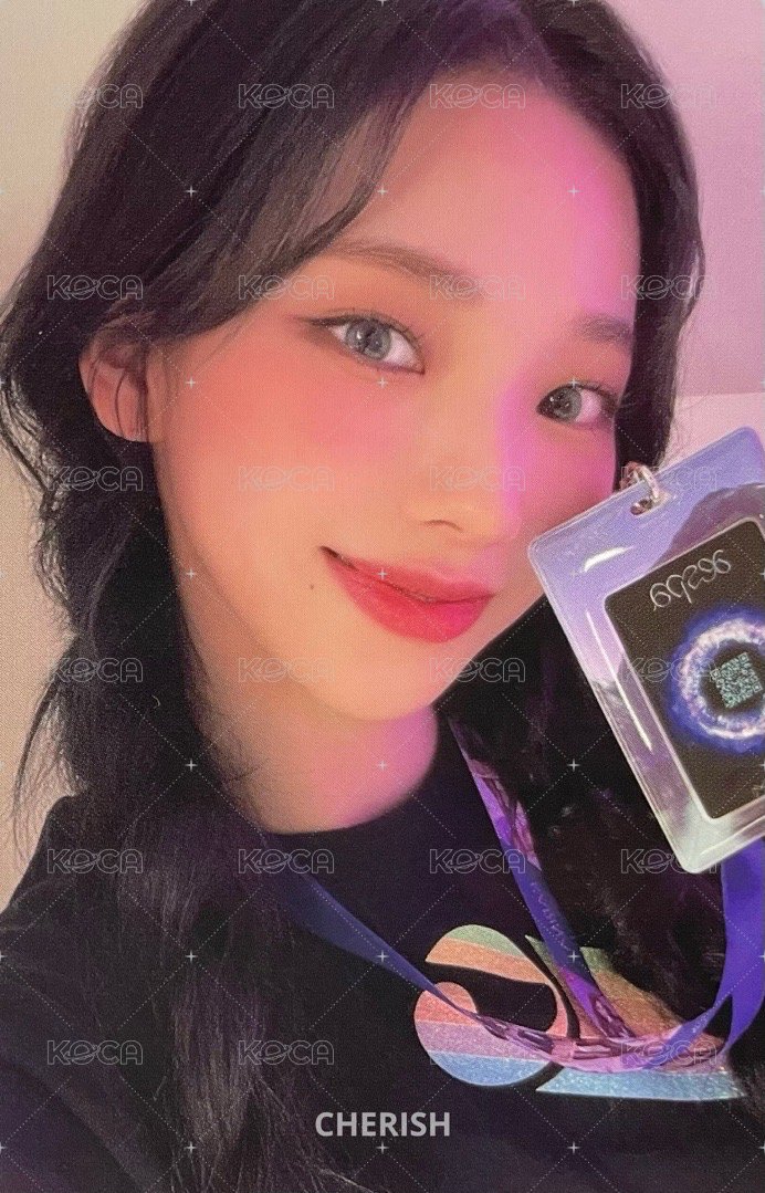 愛寶樂園 周邊卡 1.0 卡套柚 正面