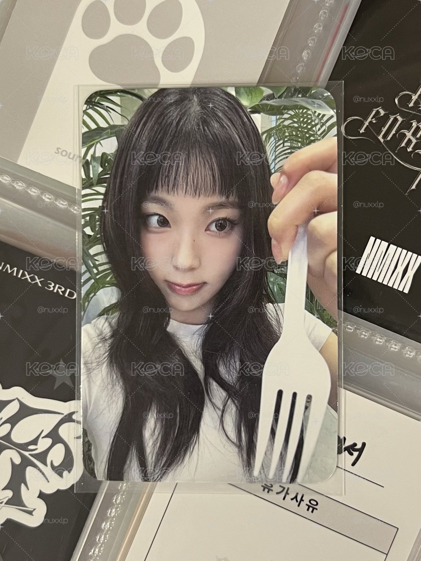 NMIXX 禮儀圭