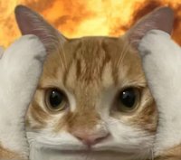 CC