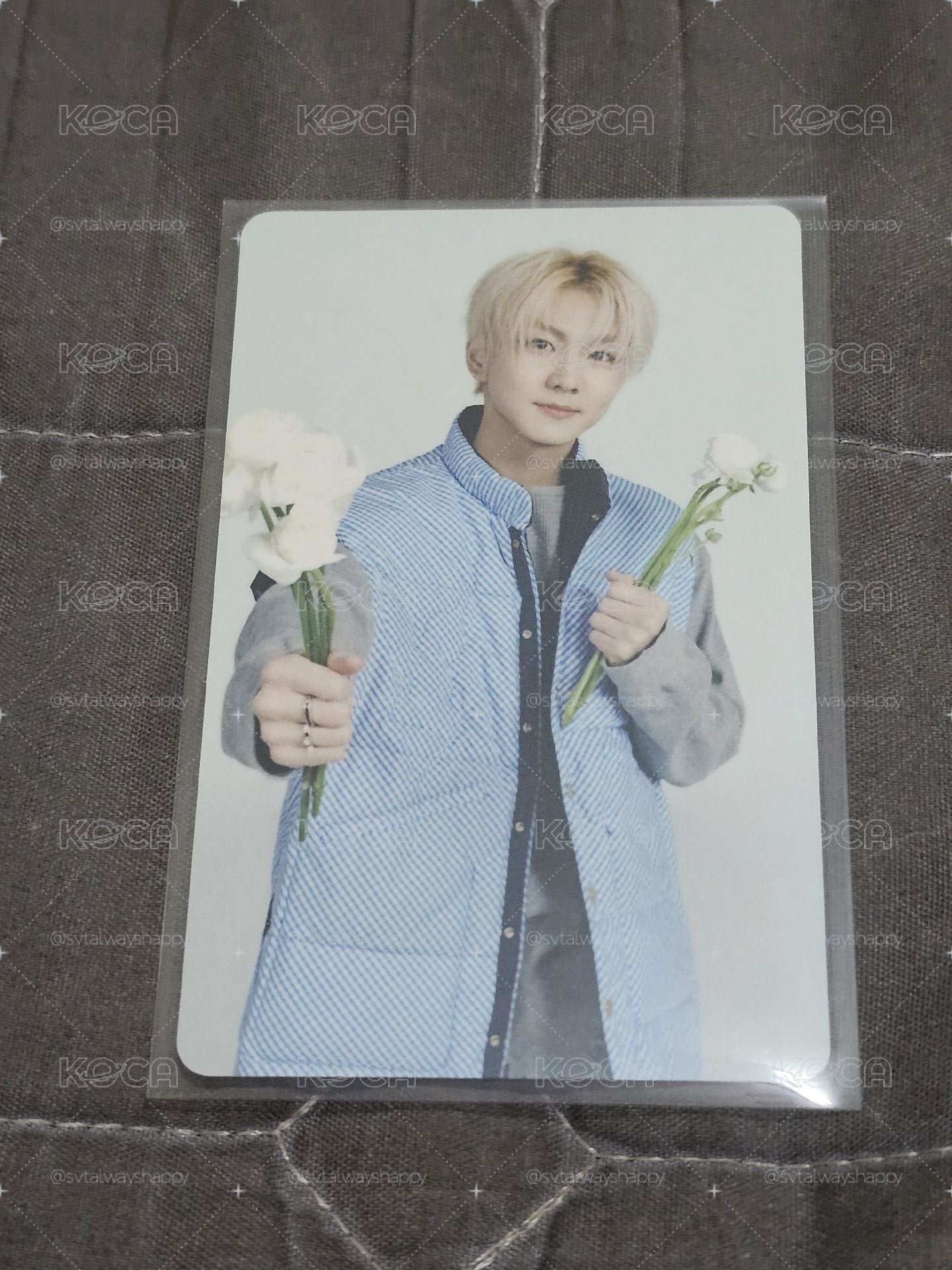 YOI 環球特典 JUNGWON