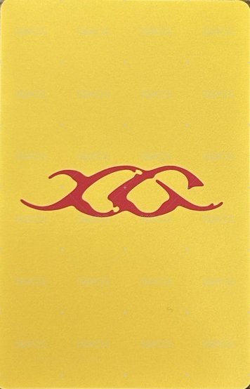 NEW DNA 塔店 特典卡 ver.X 背面