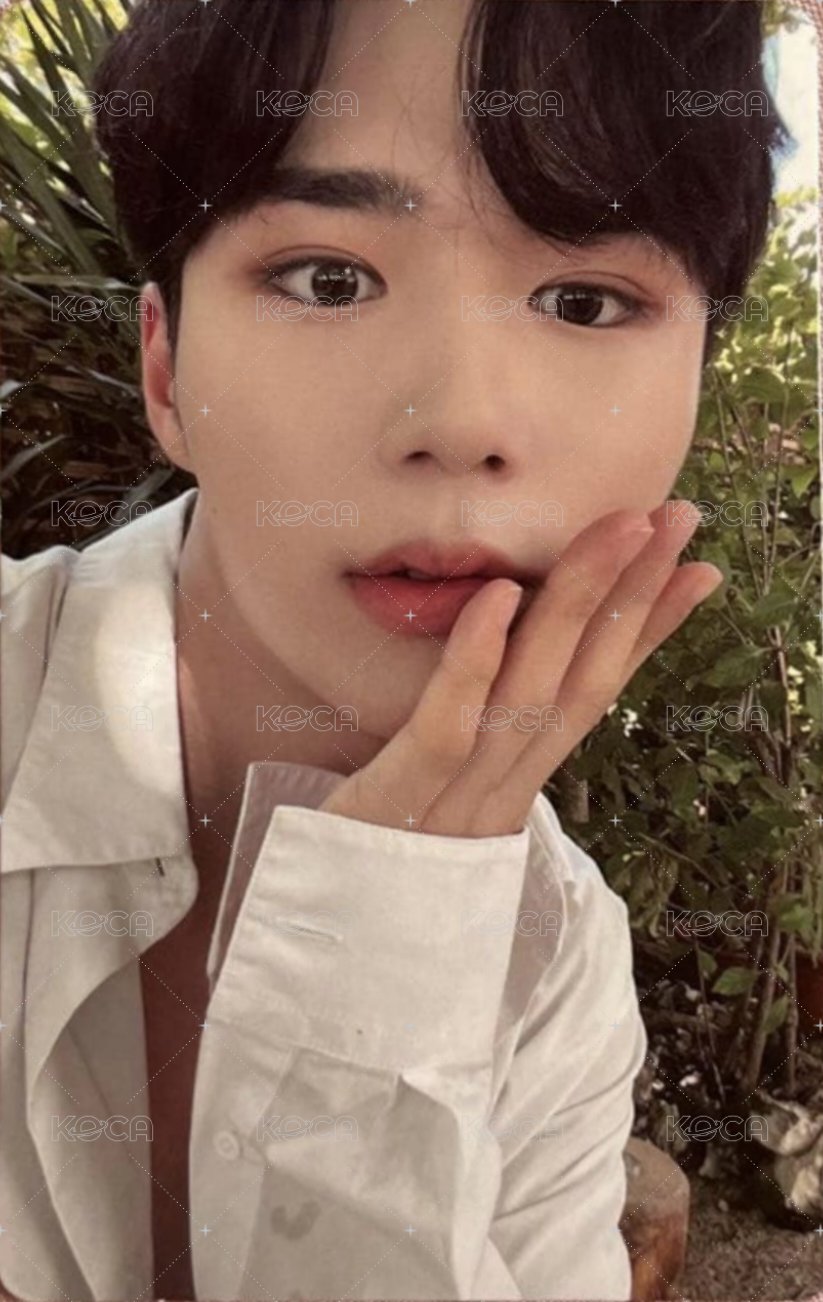 迷你六輯 專輯卡  正面