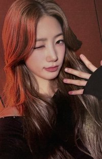 HOT 數星星 1.0 簽售卡 