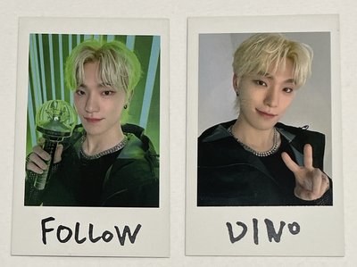 🦖燦 Follow 日巡 拍立得 貼紙 小卡組