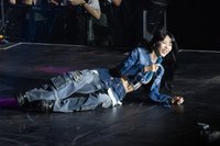 文星伊的小狗