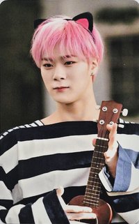 二巡 演唱會 DVD / CD 卡 日本