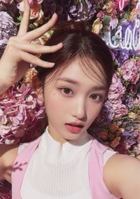 23’FC 周邊卡 貼紙卡