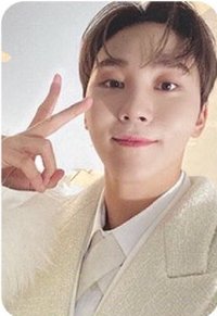 POL 專輯卡 通常ver